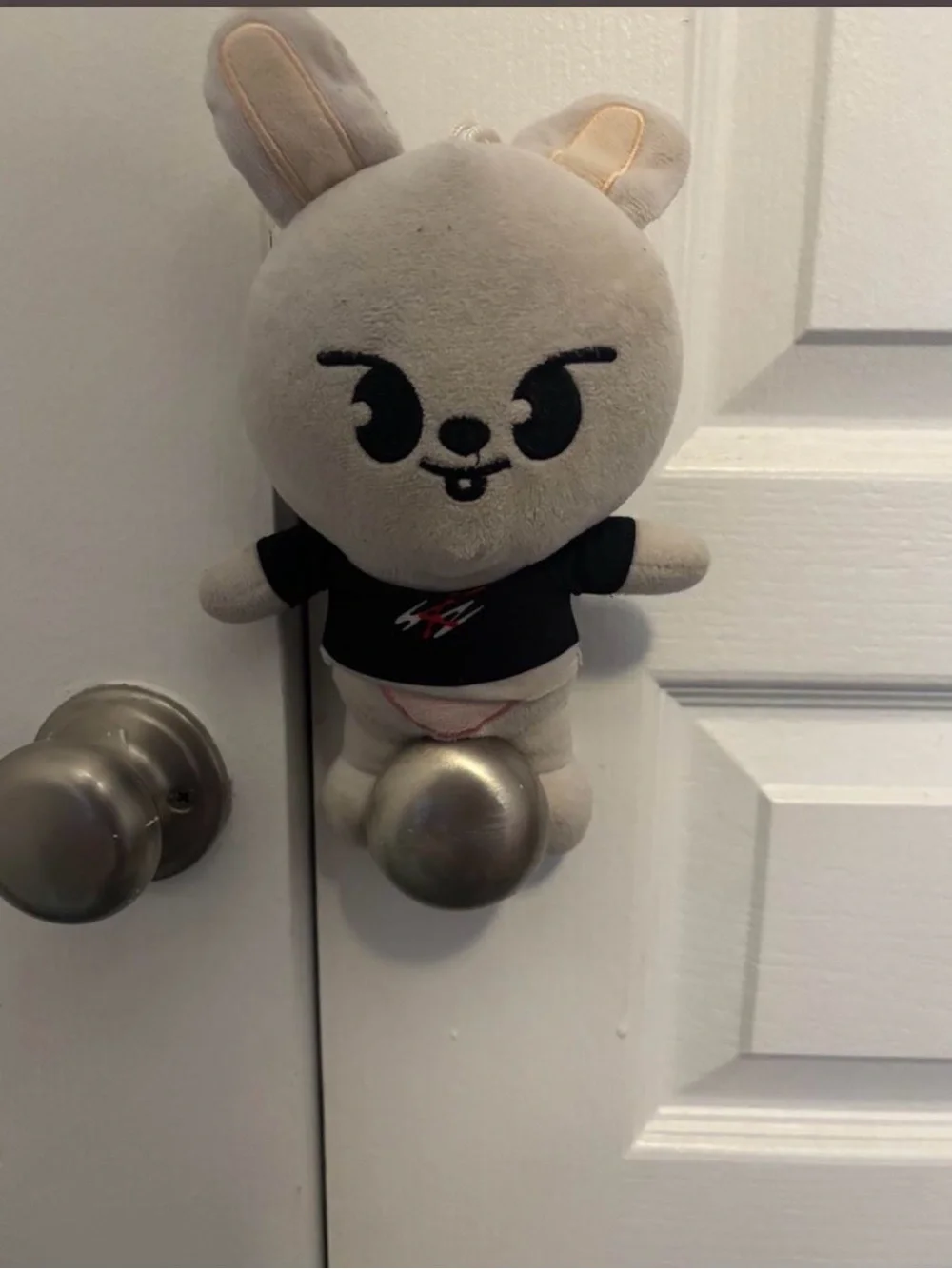 Stray Kids Skzoo LeeBit